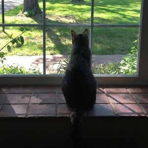 Meet your Posher, Dylan